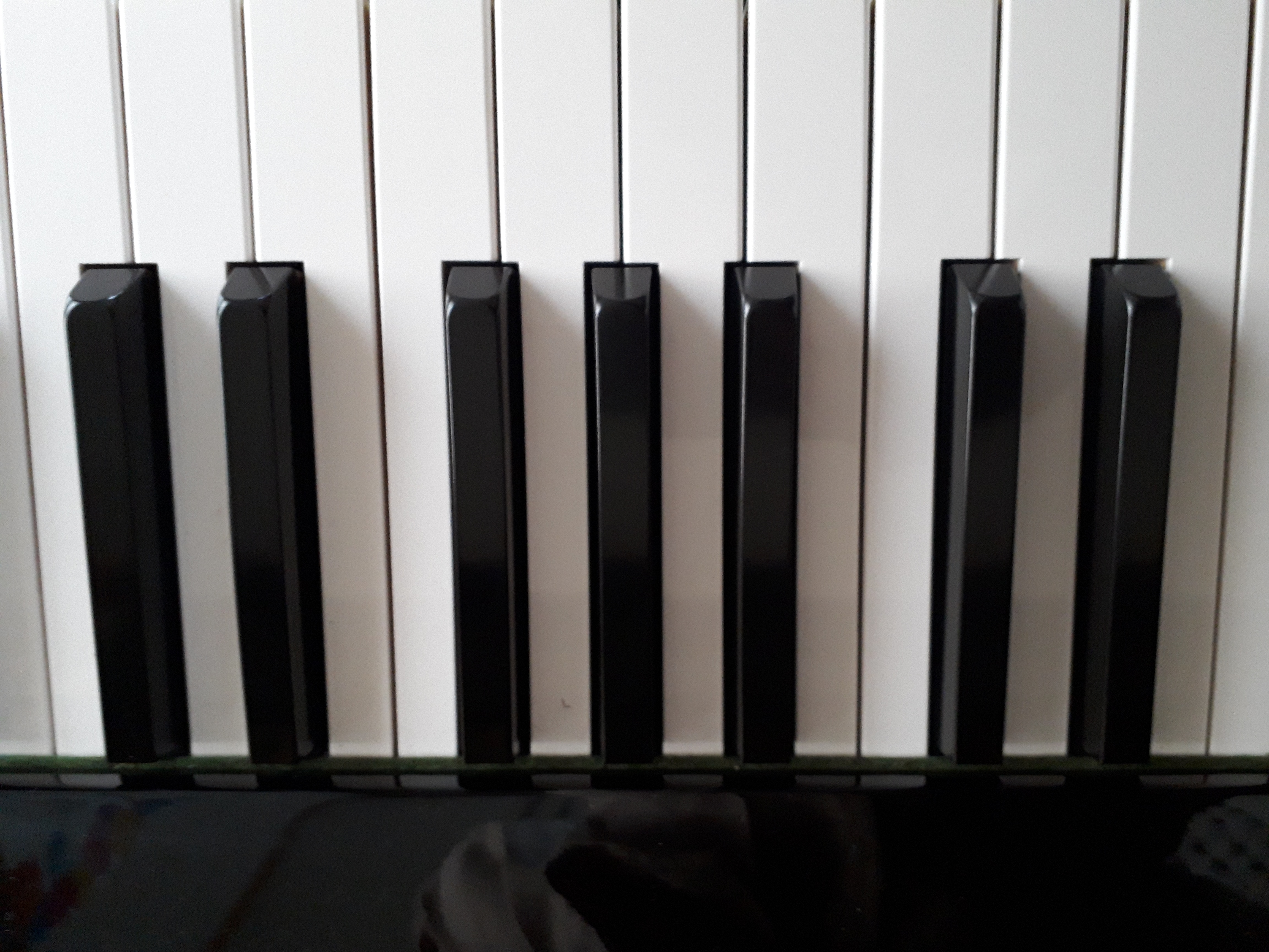 ピアノレッスン初回20分の画像